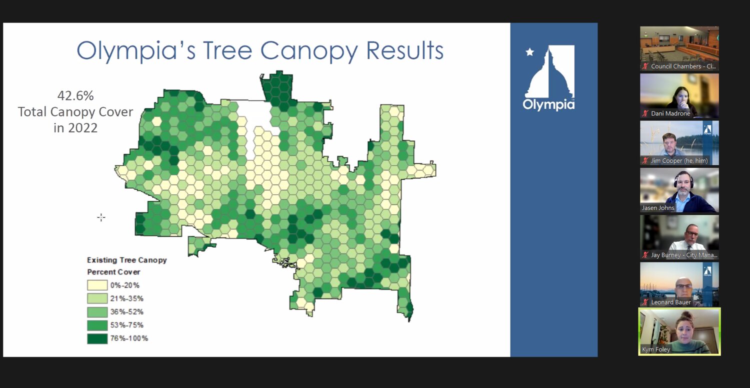 Olympia's Land Use and Environment Committee received an update on the city's tree canopy assessment on Thursday, Nov. 16, 2023.